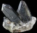 Dark Smoky Quartz Cluster - Large Crystals #58904-1